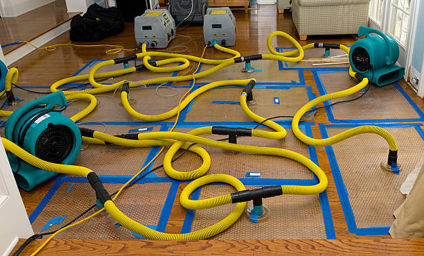 Professional Water Extraction technician working in Wayne, OK